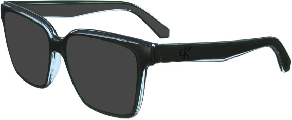 Calvin Klein Jeans CKJ24619 sunglasses in Green