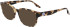 Converse CV5097 sunglasses in Tokyo Tortoise