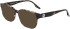 Converse CV5097 sunglasses in Cargo Tortoise