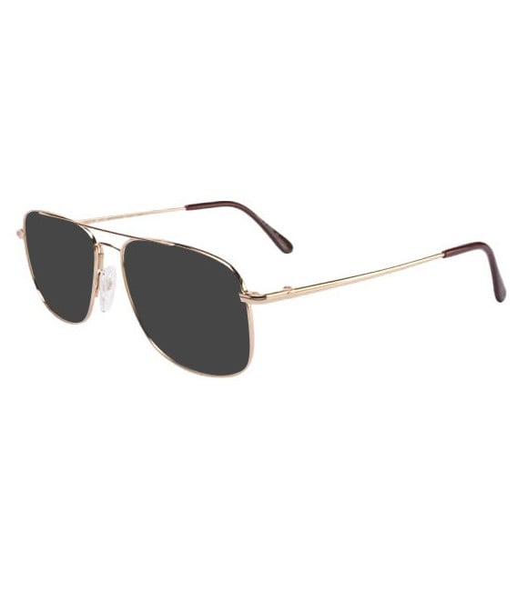 Flexon AUTOFLEX 44-59 sunglasses in Gep