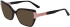 Karl Lagerfeld KL6131 sunglasses in Dark Tortoise/Rose