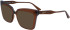 Karl Lagerfeld KL6136 sunglasses in Brown