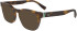 Lacoste L2938 sunglasses in Havana