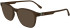 Lacoste L2949 sunglasses in Transparent Brown