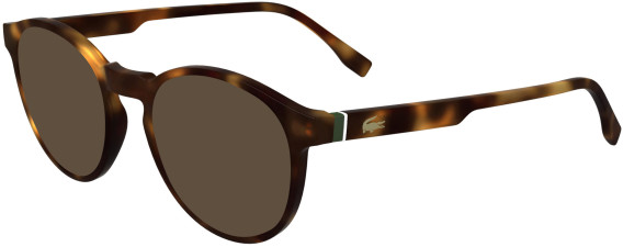 Lacoste L2950 sunglasses in Havana