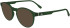 Lacoste L2950 sunglasses in Transparent Green