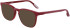 Nike NIKE 5055 sunglasses in Oxblood Gradient