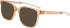 Nike NIKE 7158 sunglasses in Bio Beige