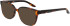 Nike NIKE 7172 sunglasses in Dark Tortoise