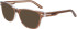 Nike NIKE 7176 sunglasses in Mink/Crystal Laminate