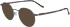 Zeiss ZS23141 sunglasses in Satin Light Ruthenium