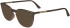 Calvin Klein CK24513-54 sunglasses in Brown/Rose