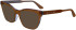 Calvin Klein CK24517 sunglasses in Brown/Azure