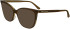 Calvin Klein CK24520-54 sunglasses in Brown