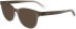 Calvin Klein CK24522-52 sunglasses in Gradient Grey