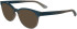 Calvin Klein CK24522-52 sunglasses in Blue/Brown