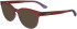 Calvin Klein CK24522-52 sunglasses in Gradient Wine