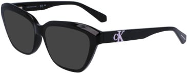 Calvin Klein Jeans CKJ23644 sunglasses in Black