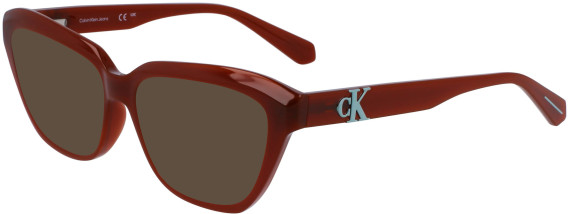 Calvin Klein Jeans CKJ23644 sunglasses in Brown
