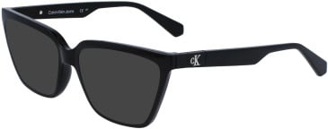 Calvin Klein Jeans CKJ23648 sunglasses in Black