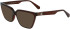 Calvin Klein Jeans CKJ23648 sunglasses in Brown