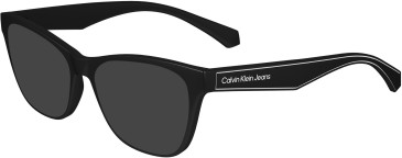 Calvin Klein Jeans CKJ24304 sunglasses in Black