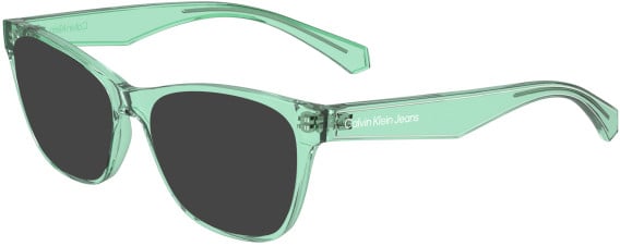 Calvin Klein Jeans CKJ24304 sunglasses in Green