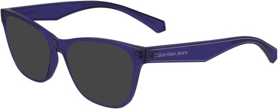 Calvin Klein Jeans CKJ24304 sunglasses in Purple