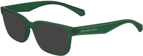 Calvin Klein Jeans CKJ24305 sunglasses in Green