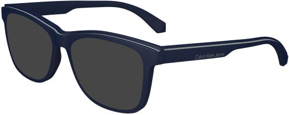 Calvin Klein Jeans CKJ24610 sunglasses in Blue