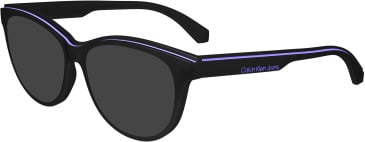 Calvin Klein Jeans CKJ24611 sunglasses in Black