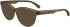 Calvin Klein Jeans CKJ24611 sunglasses in Brown