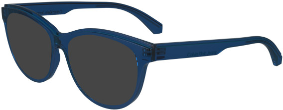 Calvin Klein Jeans CKJ24611 sunglasses in Blue