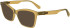 Calvin Klein Jeans CKJ24612 sunglasses in Caramel
