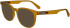 Calvin Klein Jeans CKJ24613 sunglasses in Caramel