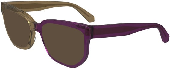 Calvin Klein Jeans CKJ24615 sunglasses in Brown/Violet