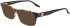 Converse CV5089 sunglasses in Brown/Orange Tortoise