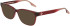 Converse CV5094 sunglasses in Crystal Deep Bordeaux