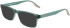 Converse CV5095 sunglasses in Crystal Admiral Elm