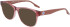 Converse CV5098 sunglasses in Crystal Saddle