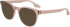 Converse CV5103 sunglasses in Crystal Chaotic Neutral