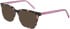 DKNY DK5060 sunglasses in Blush Tortoise
