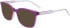 DKNY DK5065 sunglasses in Crystal Orchid Laminate