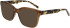 DKNY DK5069 sunglasses in Chai Crystal