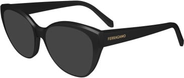 FERRAGAMO SF2970 sunglasses in Black