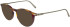 FERRAGAMO SF2976 sunglasses in Tortoise