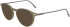 FERRAGAMO SF2976 sunglasses in Opaline Olive