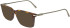 FERRAGAMO SF2977 sunglasses in Tortoise