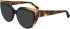 FERRAGAMO SF2984 sunglasses in Tortoise/Black