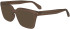 FERRAGAMO SF2985 sunglasses in Transparent Dark Brown
